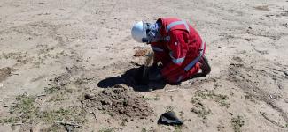 YLB FORESTA PLANTINES DE THOLA Y CONSTRUYE BEBEDEROS PARA GANADO EN RÍO GRANDE 
