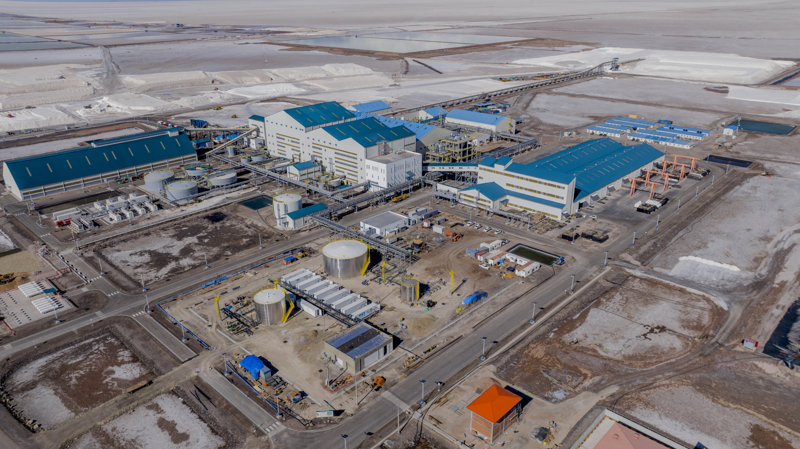 PLANTA KCL Y OTRAS PLANTAS